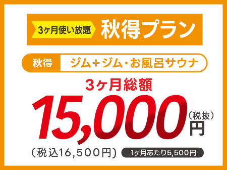 【3ヶ月使い放題】ジム＋お風呂サウナ3ヶ月で16,500円！